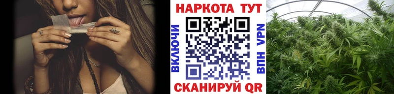 Купить наркоту Талица Гашиш  Альфа ПВП  kraken ССЫЛКА  МЕФ  АМФЕТАМИН 