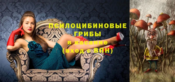 гидра Армянск