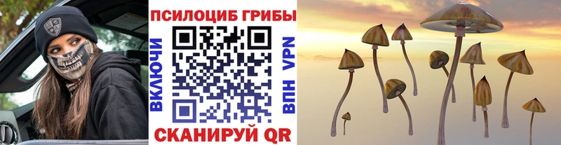 Псилоцибиновые грибы мицелий  закладки  Талица 